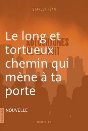 Cover of the book Le long et tortueux chemin qui mène à ta porte by Sylvie Desrosiers