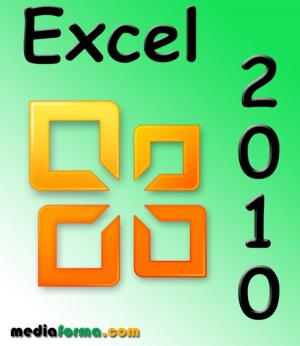 Book cover of Excel 2010