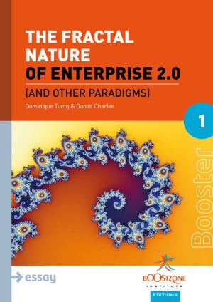 Book cover of The Fractal Nature of Enterprise 2.0