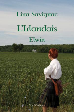 Cover of the book L'Irlandais - Elwin by Marcus W. Jaurigue