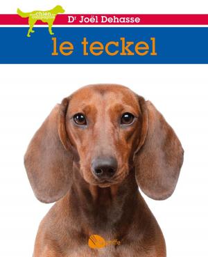 Cover of the book Le teckel by Manon Tremblay