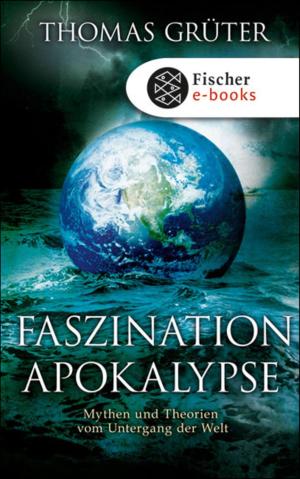 Cover of the book Faszination Apokalypse by John Brockman