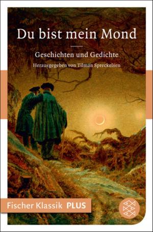 Cover of the book Du bist mein Mond by Christoph Ransmayr