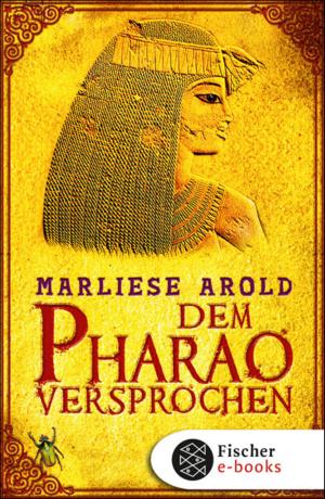 Cover of the book Dem Pharao versprochen by Liz Kessler