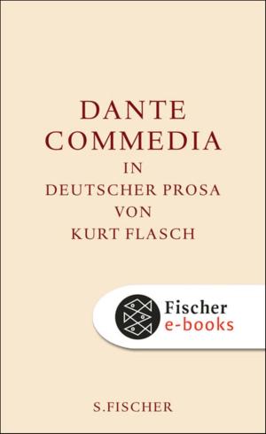 Cover of the book Commedia by Katharina Hacker
