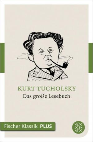 Cover of the book Das große Lesebuch by Franz Kafka