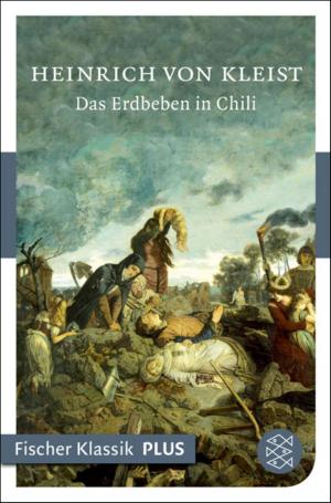 Cover of the book Das Erdbeben in Chili by Bernd Gieseking