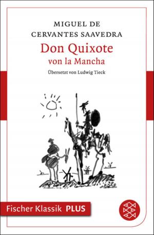Book cover of Don Quixote von la Mancha