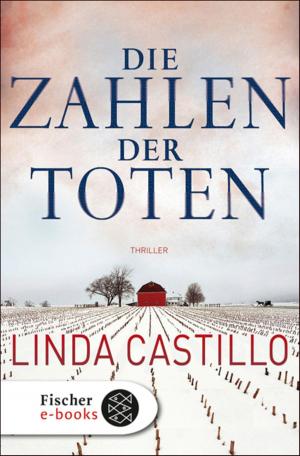Cover of the book Die Zahlen der Toten by James Fenimore Cooper