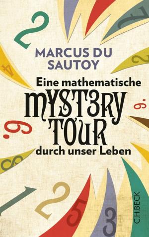 Cover of the book Eine mathematische Mystery-Tour durch unser Leben by Bernhard F. Klinger, Johannes Schulte, Hans-Oskar Jülicher