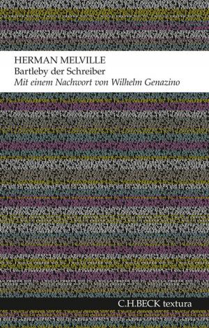 Cover of the book Bartleby der Schreiber by Jakob Tanner