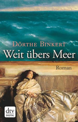Cover of the book Weit übers Meer by James Baldwin