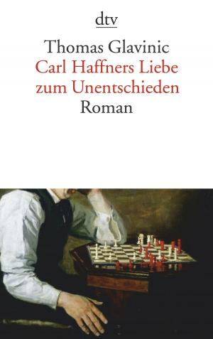 Cover of the book Carl Haffners Liebe zum Unentschieden by Dörthe Binkert