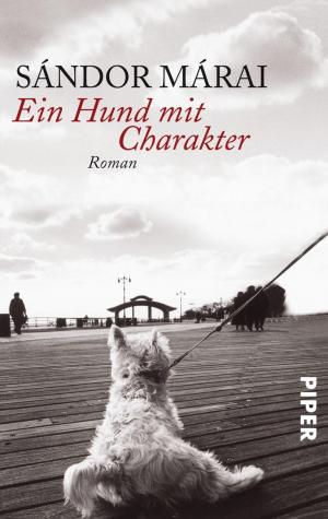 Cover of the book Ein Hund mit Charakter by Ingeborg Bachmann, Hans Werner Henze, Hans Werner Henze
