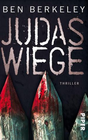 Cover of the book Judaswiege by Andreas Brandhorst