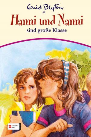 Cover of the book Hanni & Nanni, Band 17 by Enid Blyton