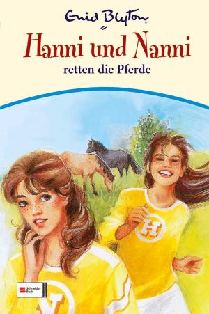 Cover of the book Hanni & Nanni, Band 19 by Nikolaus Moras, Enid Blyton