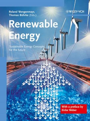 Cover of the book Renewable Energy by Jay R. Fiske, Corinne A. Fiske