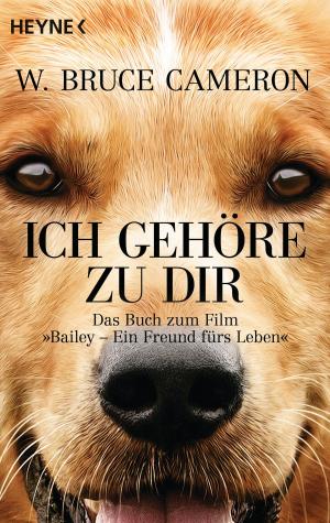 Cover of the book Ich gehöre zu dir by Simon Scarrow, T. J. Andrews