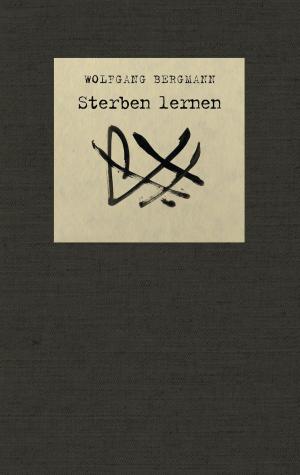 Cover of the book Sterben lernen by Antje Drössel, Stephan Heinrich Nolte