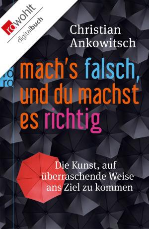 Cover of the book Mach's falsch, und du machst es richtig by Stephen Hawking, Bernd Schuh