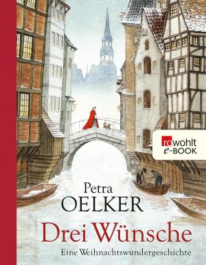 Cover of the book Drei Wünsche by Benjamin Monferat