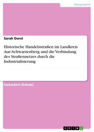 Book cover of Historische Handelsstraßen im Landkreis Aue-Schwarzenberg und die Verbindung des Straßennetzes durch die Industrialisierung