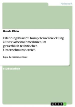 Cover of the book Erfahrungsbasierte Kompetenzentwicklung älterer ArbeitnehmerInnen im gewerblich-technischen Unternehmensbereich by Andreas Bonß