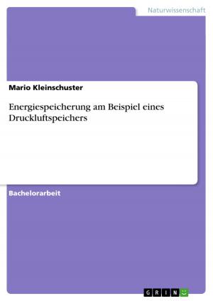 Cover of the book Energiespeicherung am Beispiel eines Druckluftspeichers by Sven Elmers