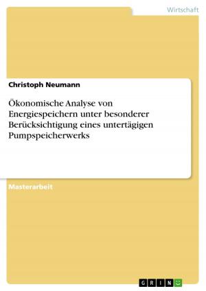 Cover of the book Ökonomische Analyse von Energiespeichern unter besonderer Berücksichtigung eines untertägigen Pumpspeicherwerks by Volker Schoop