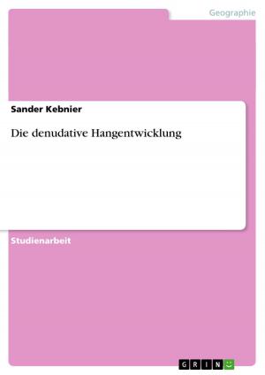 Cover of the book Die denudative Hangentwicklung by Anonym