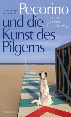 Cover of the book Pecorino und die Kunst des Pilgerns by Barbara Frischmuth