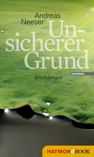 Cover of the book Unsicherer Grund by Klaus Merz
