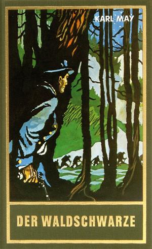 Cover of the book Der Waldschwarze by Kenji Miyazawa