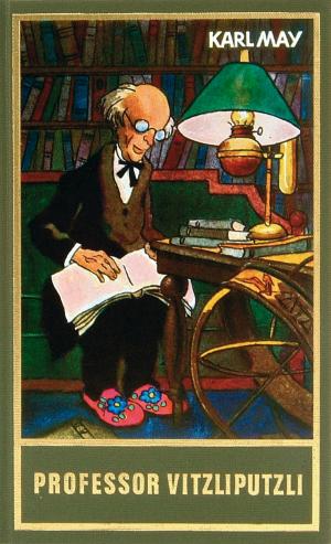 Book cover of Professor Vitzliputzli
