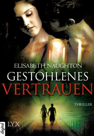 Book cover of Gestohlenes Vertrauen