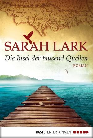Book cover of Die Insel der tausend Quellen