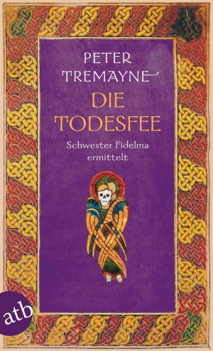 Cover of the book Die Todesfee by Erwin Strittmatter