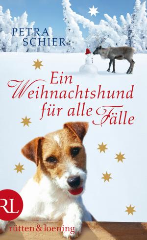 Cover of the book Ein Weihnachtshund für alle Fälle by Michel Bussi