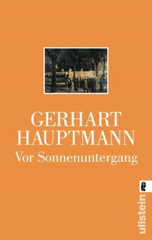 Cover of the book Vor Sonnenuntergang by Elena-Katharina Sohn