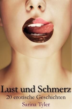 Cover of the book Lust und Schmerz - 20 erotische Geschichten by Matthias Groschopf