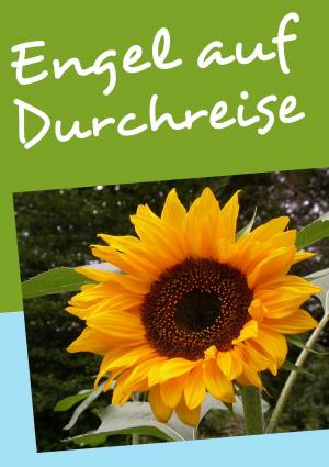 Cover of the book Engel auf Durchreise by 