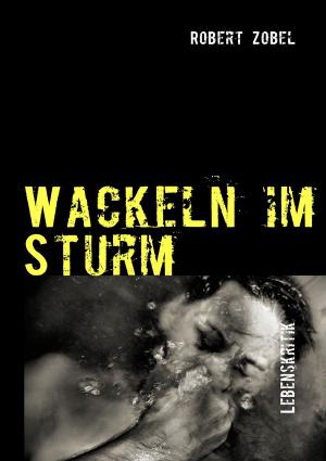 Cover of the book Wackeln im Sturm by Julia Winnacker
