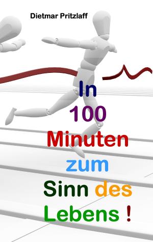 Cover of the book In 100 Minuten zum Sinn des Lebens! by Svea J. Held, Andrea C. Ortolano