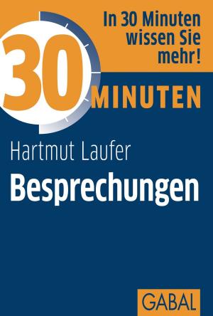 Cover of the book 30 Minuten Besprechungen by Dorothee Zapke