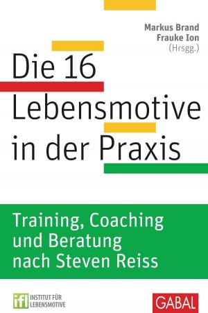 Cover of the book Die 16 Lebensmotive in der Praxis by Andreas Buhr, Florian Feltes