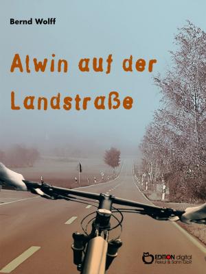 Cover of the book Alwin auf der Landstraße by Erwin Johannes Bach