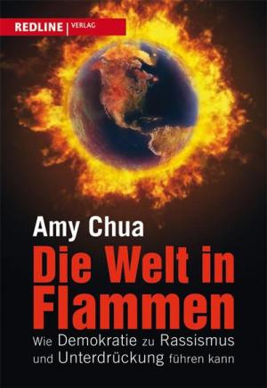 Cover of Die Welt in Flammen