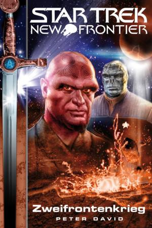 Cover of the book Star Trek - New Frontier 02: Zweifrontenkrieg by Karen C. Webb