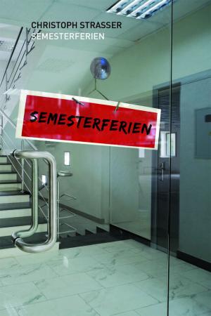 Cover of the book Semesterferien by Dirk Bernemann, Jens Goldbach